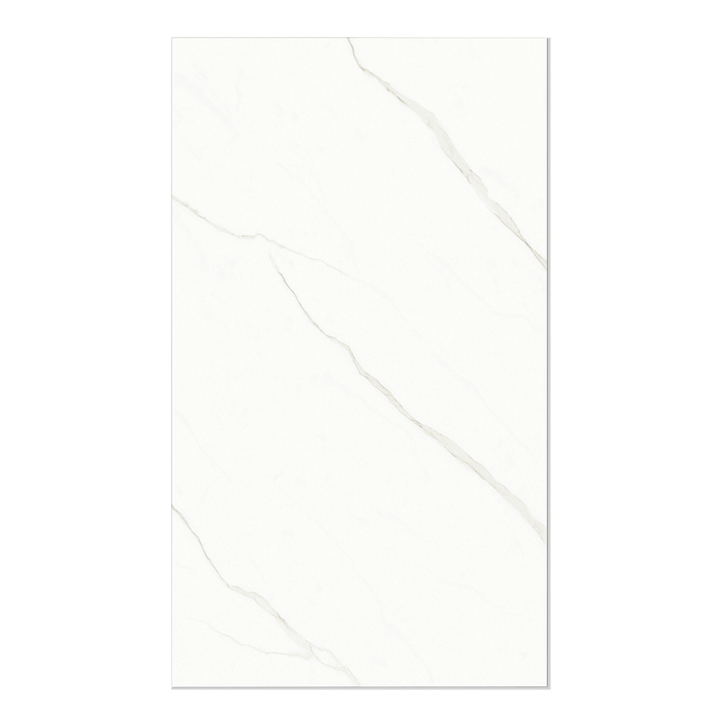 Feinsteinzeugfliese 60×120 cm Hochglanz THY60211