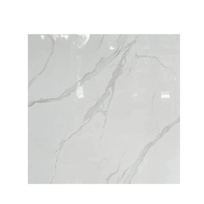 Feinsteinzeugfliese 60×60 cm Hochglanz GT609