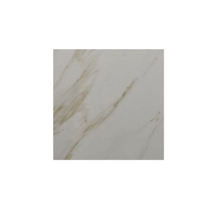 Feinsteinzeugfliese 60×60 cm seidenmatt TN6602M