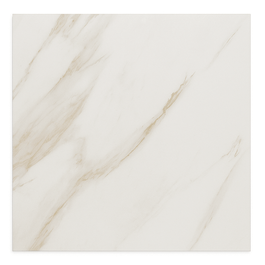 Feinsteinzeugfliese 60×60 cm seidenmatt TN6602M