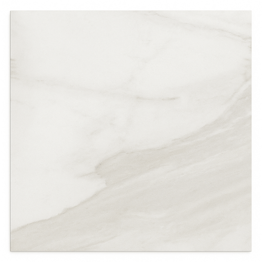 Feinsteinzeugfliese 60×60 cm seidenmatt TN6611M